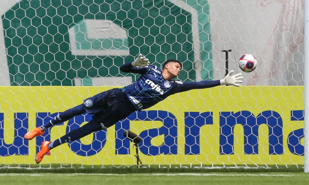 mateus_goleiro_palmeiras_copinha