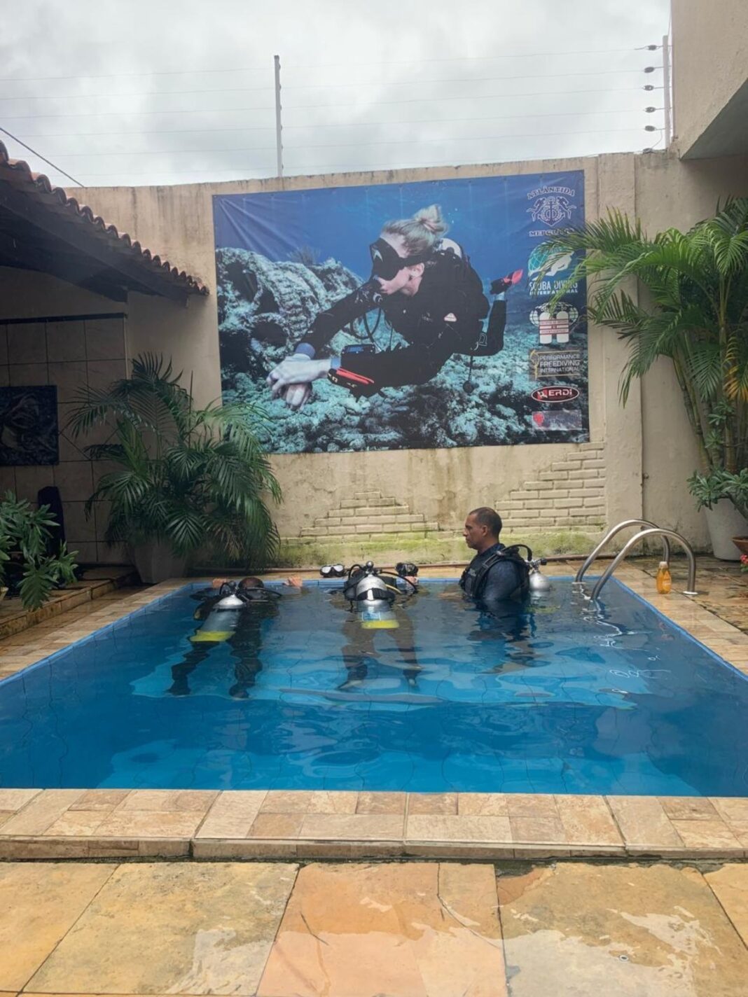 Como mergulhar para ver corais, peixes e tubarões no mar de Fortaleza
