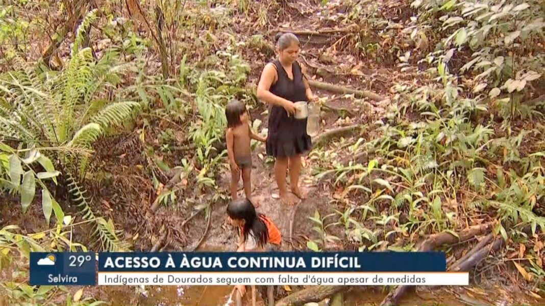 O drama da falta de água na Reserva de Dourados, MT
