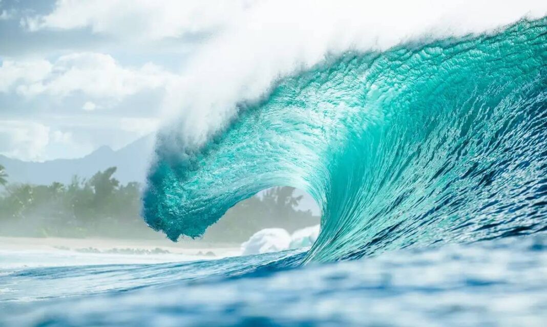 Pipeline Volta Como Etapa Decisiva E Novidades Para Temporada 2026 Do Mundial De Surfe