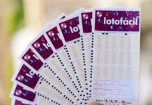 Lotofácil Da Independência Vai Sortear R$ 300 Milhões Nesta Segunda-feira