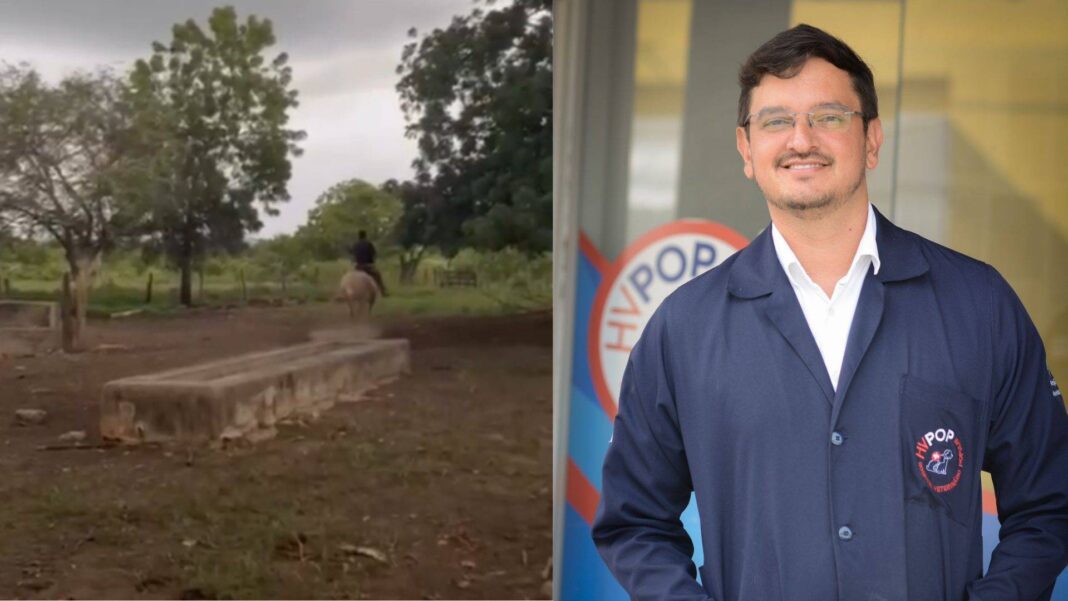 Veterinário Explica Reação De Cavalo Que Impediu Dono De Ser Atingido Por Raio No Oeste Da Bahia
