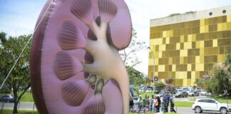 Dia Mundial do Rim: doenças renais são silenciosas e exigem atenção