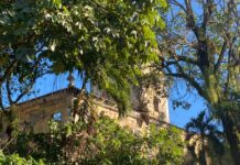 Abandono Marca Cenário Do Solar Boa Vista, Refúgio De Castro Alves Abandono Marca Cenário Do Solar Boa Vista, Refúgio De Castro Alves