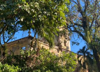 Abandono Marca Cenário Do Solar Boa Vista, Refúgio De Castro Alves Abandono Marca Cenário Do Solar Boa Vista, Refúgio De Castro Alves
