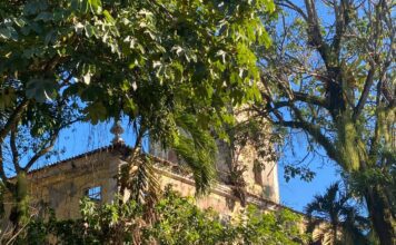 Abandono Marca Cenário Do Solar Boa Vista, Refúgio De Castro Alves Abandono Marca Cenário Do Solar Boa Vista, Refúgio De Castro Alves