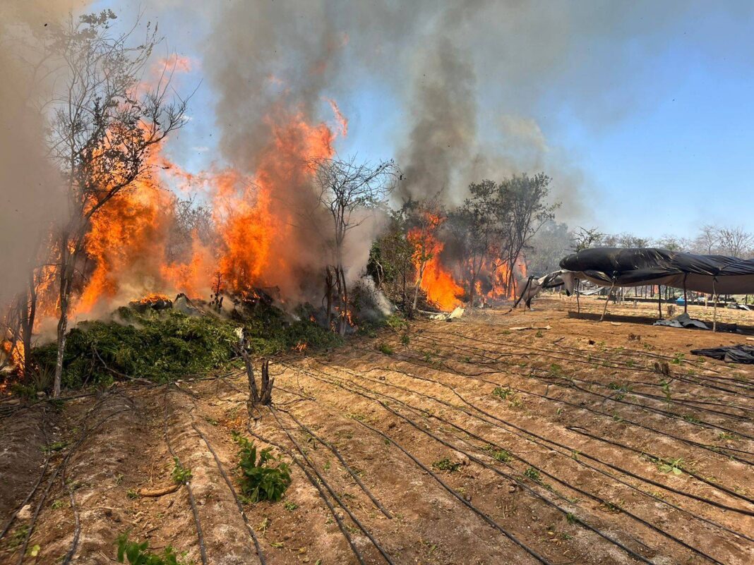 Golpe No Crime Organizado: Operação Midas Mira Tráfico E Lavagem De Dinheiro