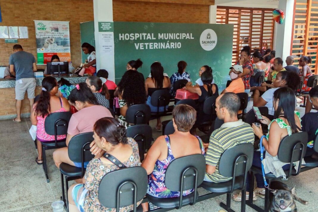 Hospital Veterinário De Salvador Ultrapassa 300 Mil Atendimentos Em Dois Anos