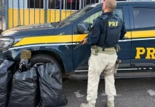 Motorista Foge De Fiscalização Da PRF, Cai Em Ribanceira E Abandona 30 Kg De Maconha Na BR-101