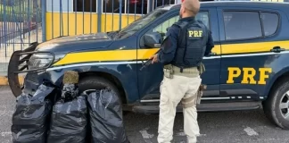 Motorista Foge De Fiscalização Da PRF, Cai Em Ribanceira E Abandona 30 Kg De Maconha Na BR-101