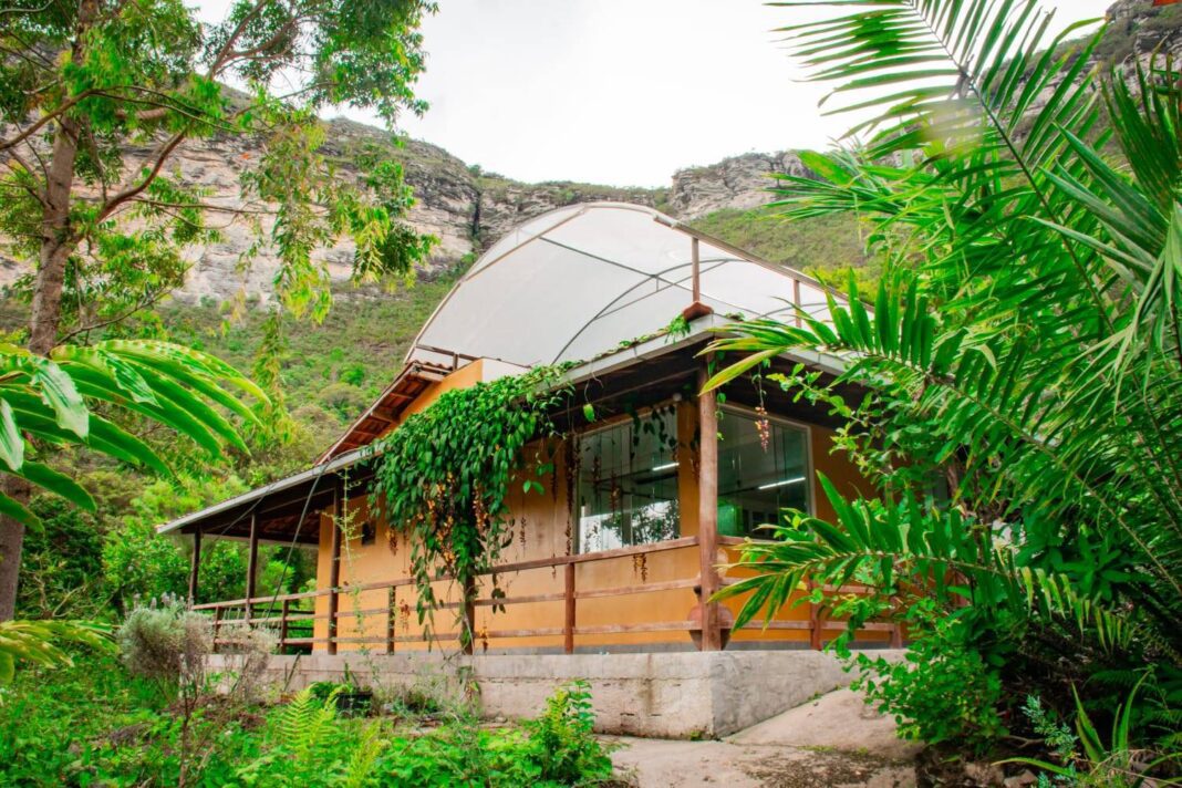 Justiça Autoriza Cultivo De Cannabis Medicinal Na Chapada Diamanti