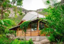 Justiça Autoriza Cultivo De Cannabis Medicinal Na Chapada Diamanti Justiça Autoriza Cultivo De Cannabis Medicinal Na Chapada Diamanti