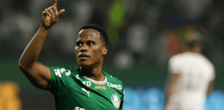 Palmeiras derrota Botafogo e assume liderança do Campeonato Brasileiro Palmeiras derrota Botafogo e assume liderança do Campeonato Brasileiro