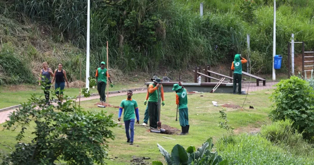 Prefeitura De Salvador Inicia Plantio De Mudas No Mané Dendê Durante Período Chuvoso