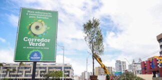 Salvador Ganha Reconhecimento Internacional E Se Torna Referência Em Arborização Salvador Ganha Reconhecimento Internacional E Se Torna Referência Em Arborização