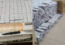 Polícia Prende Casal E Flagra Tráfico De Anfetamina E Crime Ambiental Na Bahia