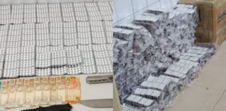 Polícia Prende Casal E Flagra Tráfico De Anfetamina E Crime Ambiental Na Bahia