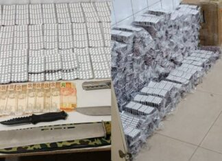 Polícia Prende Casal E Flagra Tráfico De Anfetamina E Crime Ambiental Na Bahia