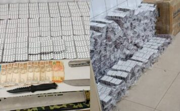 Polícia Prende Casal E Flagra Tráfico De Anfetamina E Crime Ambiental Na Bahia