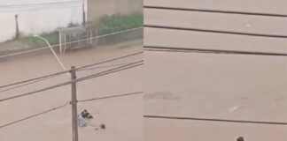 VÍDEO: Mulher Segue Desaparecida Após Ser Arrastada Por Enxurrada Em Vitória Da Conquista VÍDEO: Mulher Segue Desaparecida Após Ser Arrastada Por Enxurrada Em Vitória Da Conquista