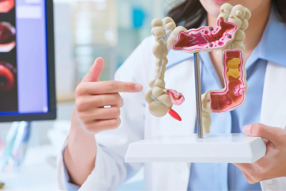 Intestino desregulado? Médica revela como proteger e recuperar a saúde