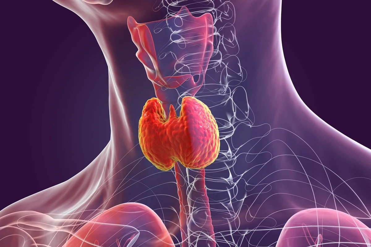 Endocrinologista explica se é perigoso ter nódulos na tireoide