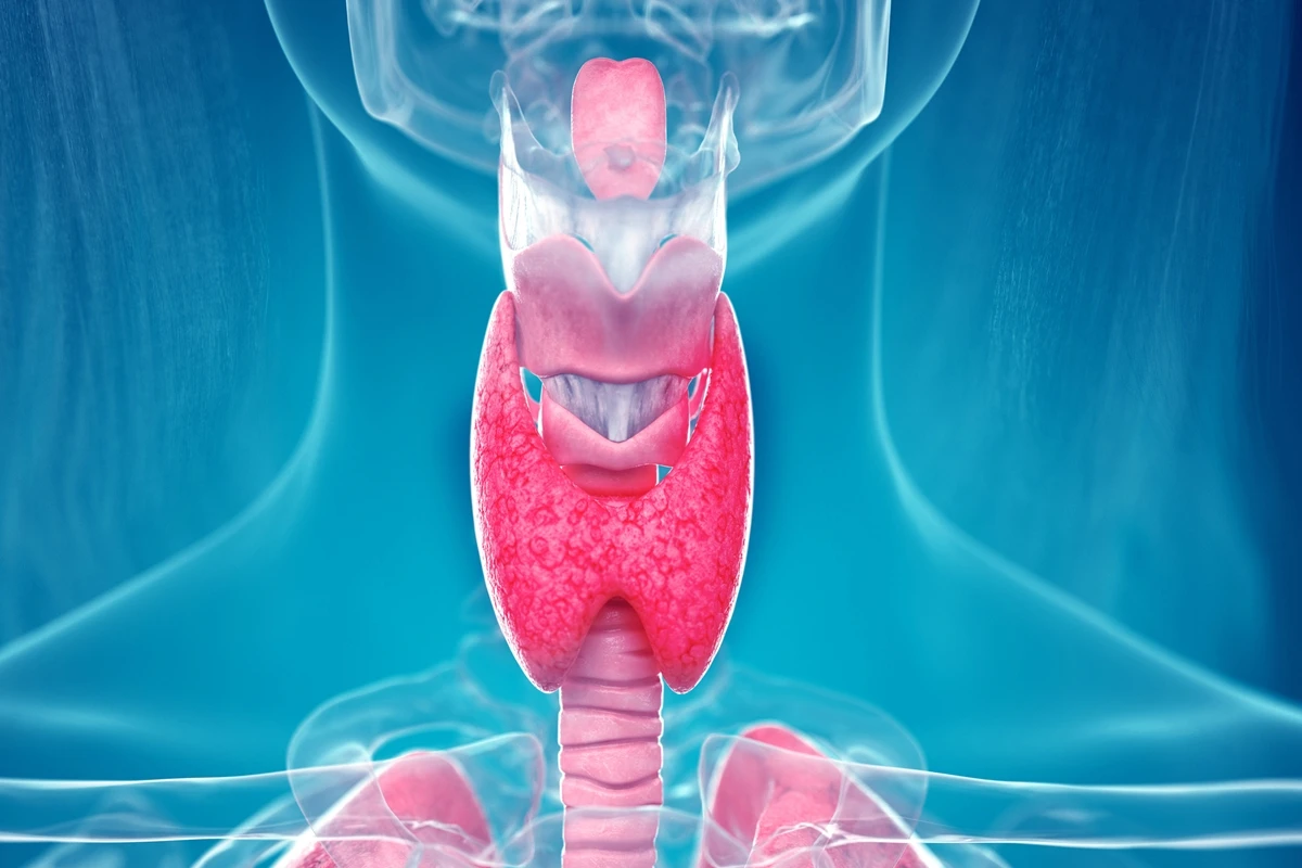 5 sinais na dieta que podem estar prejudicando a tireoide