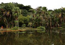 Viva Maria discute o papel do jornalismo na preservação ambiental