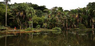 Viva Maria discute o papel do jornalismo na preservação ambiental