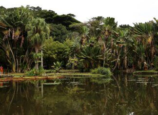 Viva Maria discute o papel do jornalismo na preservação ambiental