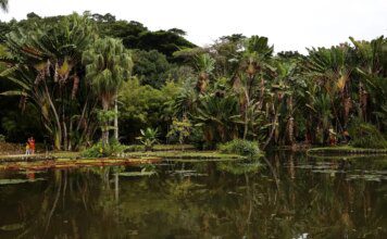 Viva Maria discute o papel do jornalismo na preservação ambiental