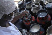 CMN libera linha de capital de giro a cooperativas de leite no Pronaf