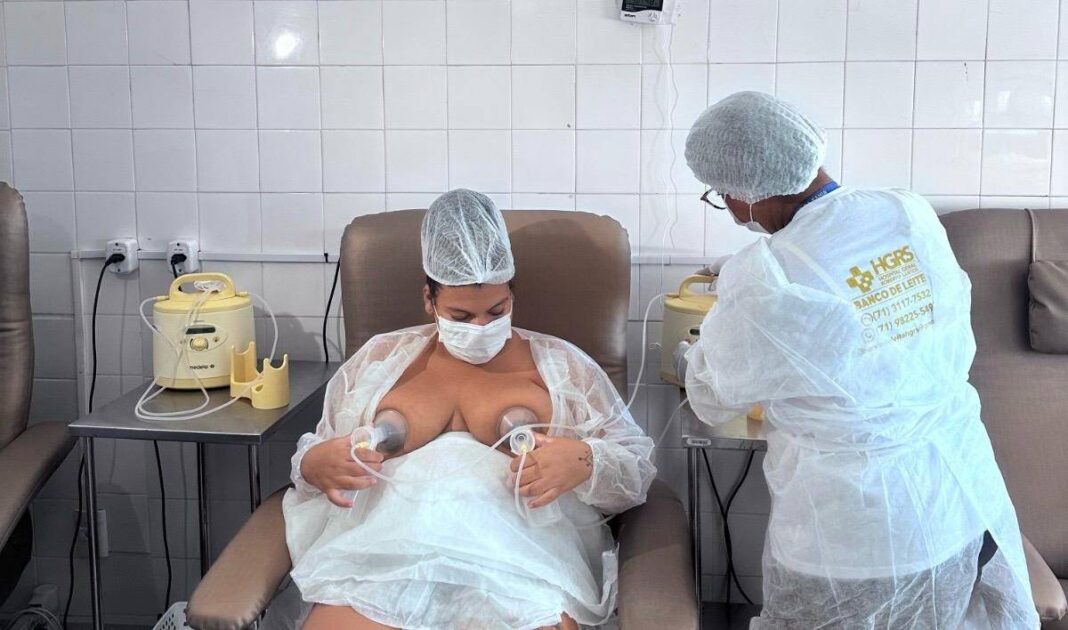 Hospital De Salvador Alerta Para Baixa No Estoque De Leite Materno; Saiba Como Doar