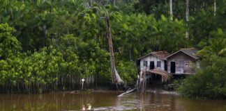 Projeto leva tratamento gratuito a doenças negligenciadas no Amazonas