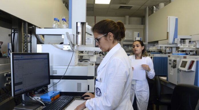 Iniciativas tentam facilitar acesso e permanência de mães na ciência