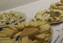 Brasil começa a importar queijo mais barato após acordo Mercosul–UE
