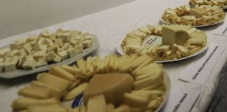 Brasil começa a importar queijo mais barato após acordo Mercosul–UE