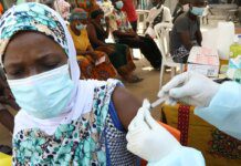 Vacina contra cepa do ebola na Àfrica pode demorar até 9 meses