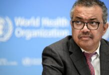 OMS descarta indícios de “surto maior” de hantavírus