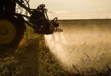 Agronegócio poderá usar linha de crédito do FAT para inovação