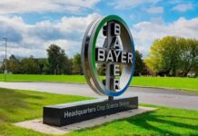 Bayer abre vagas para Programa de Estágio; veja como iniciar sua carreira na multinacional