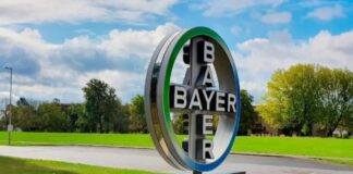 Bayer abre vagas para Programa de Estágio; veja como iniciar sua carreira na multinacional