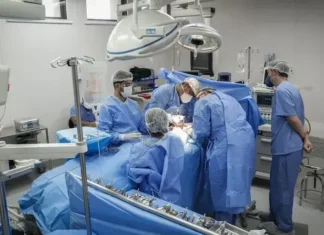 Doação De órgãos Cresce E Atinge Marca Histórica No Brasil; Entenda