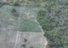 Operação Erradica 200 Mil Pés De Maconha No Interior Da Bahia Operação Erradica 200 Mil Pés De Maconha No Interior Da Bahia