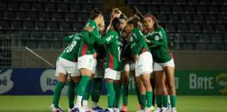 Palmeiras derrota Botafogo e se aproxima da liderança no BR Feminino Palmeiras derrota Botafogo e se aproxima da liderança no BR Feminino