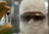 Brasil Terá Fábrica Própria De Vacina Contra Chikungunya