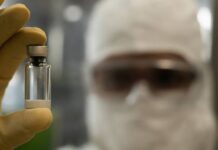 Brasil Terá Fábrica Própria De Vacina Contra Chikungunya