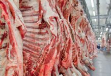 Governo promete reverter veto da UE a carnes e animais brasileiros