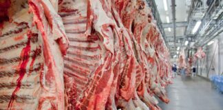 Governo promete reverter veto da UE a carnes e animais brasileiros