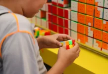 Censo Escolar 2026 Começa Coleta De Informações Da Educação Básica